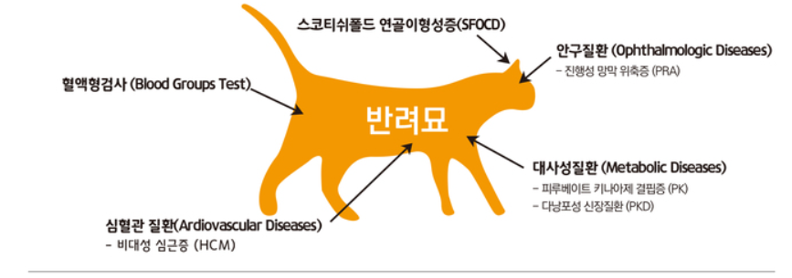 Cat Genetic Disease Test Items