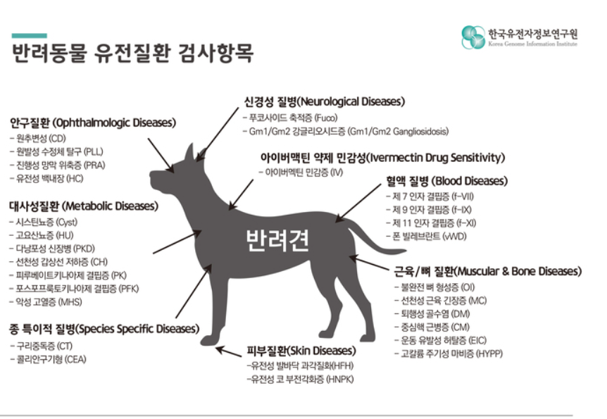 Dog Genetic Disease Test Items
